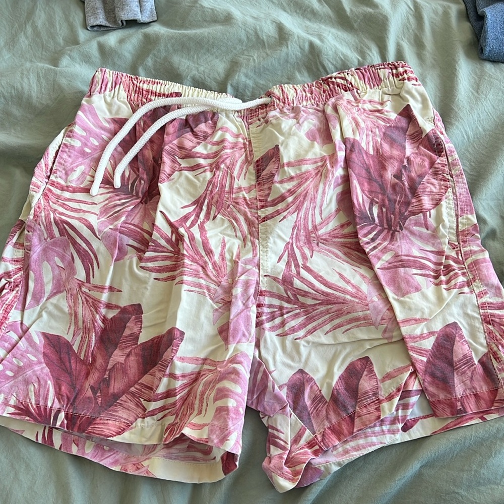 Zara 5.5 inseam swim trunks